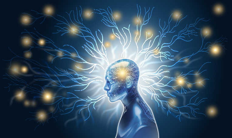 The Secret Science of Calm: Why Your Nervous System Holds the Answers You’ve Been Searching For