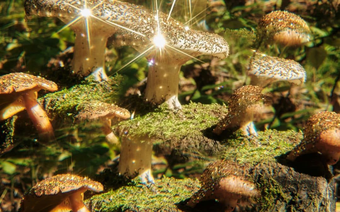 Technodelics vs Plant Medicine: A Nervous System Approach to Expanded States (Arvada & Denver)